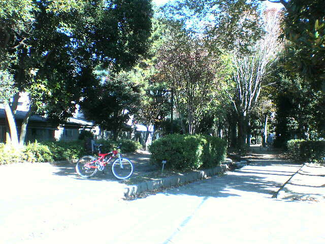 大泉町自転車専用道路